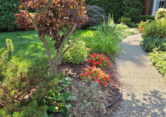 431-pomona-avenue-burlington-ontario-40638681