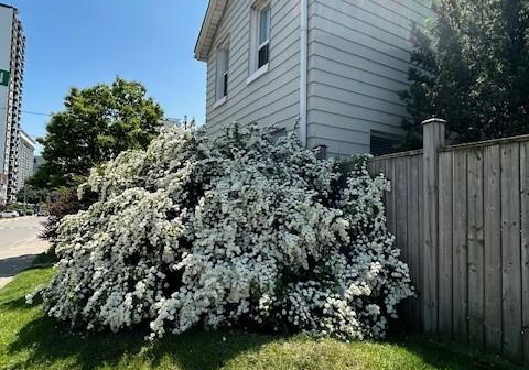 26-queen-street-n-hamilton-ontario-40725776