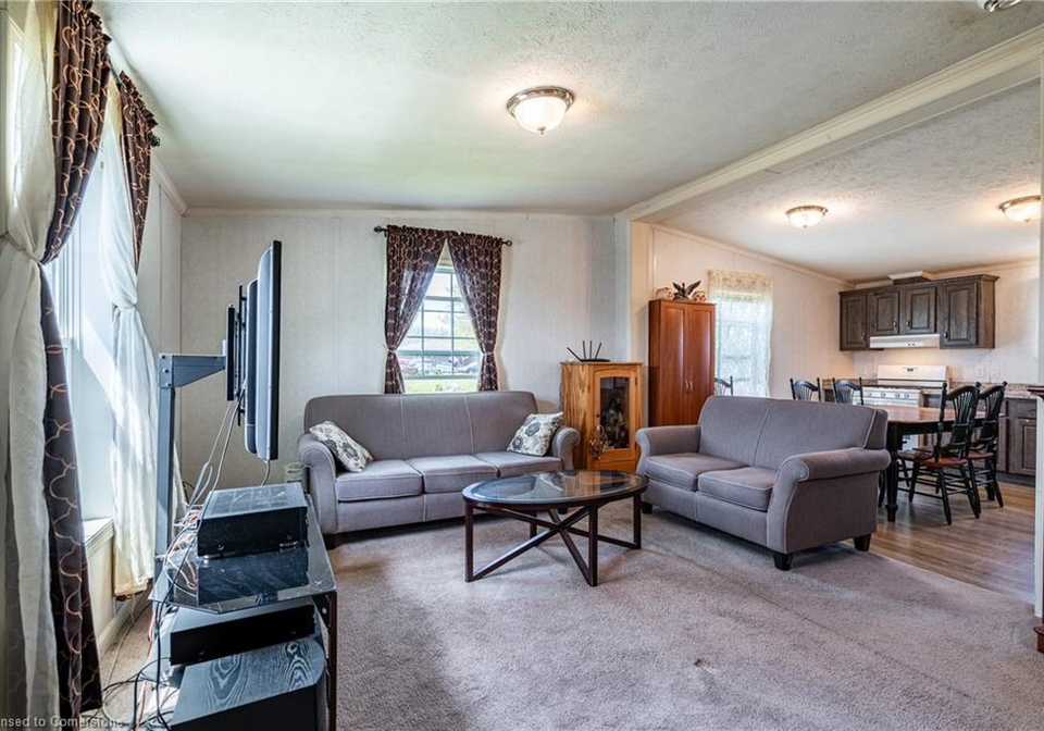 1-forest-trail-selkirk-ontario-40728576