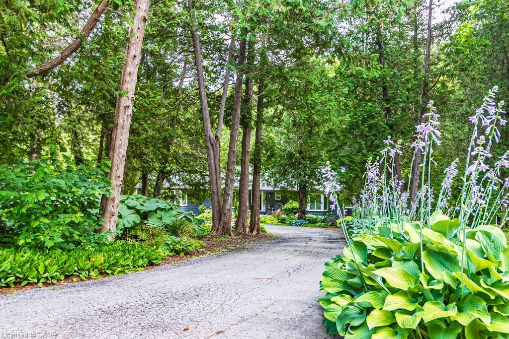 6087-cedar-springs-road-burlington-ontario-40729330