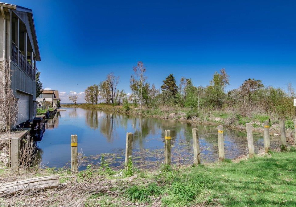 3-warbler-lane-long-point-ontario-40729393