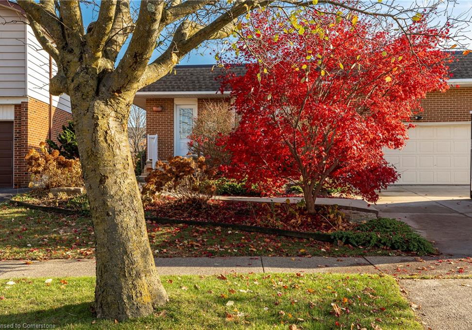 32-audubon-street-s-stoney-creek-ontario-40737301