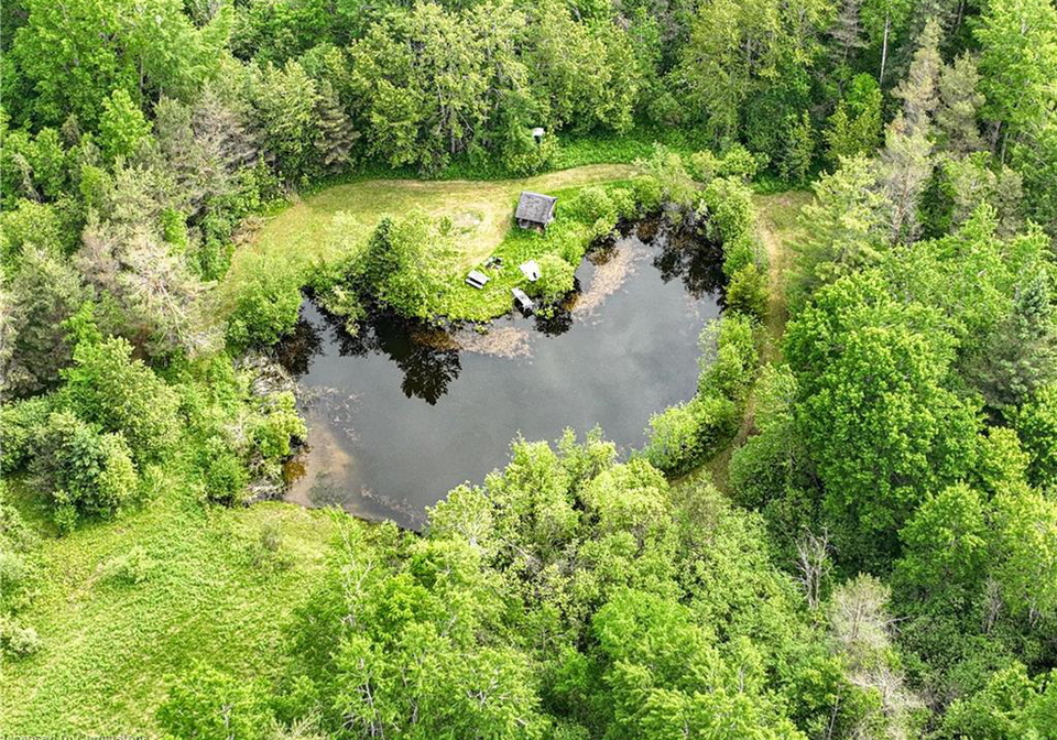 5789-4th-line-n-hillsdale-ontario-40738927
