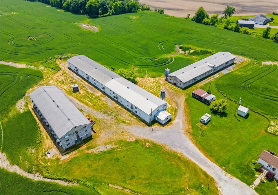 5950-regional-road-65-west-lincoln-ontario-40739846