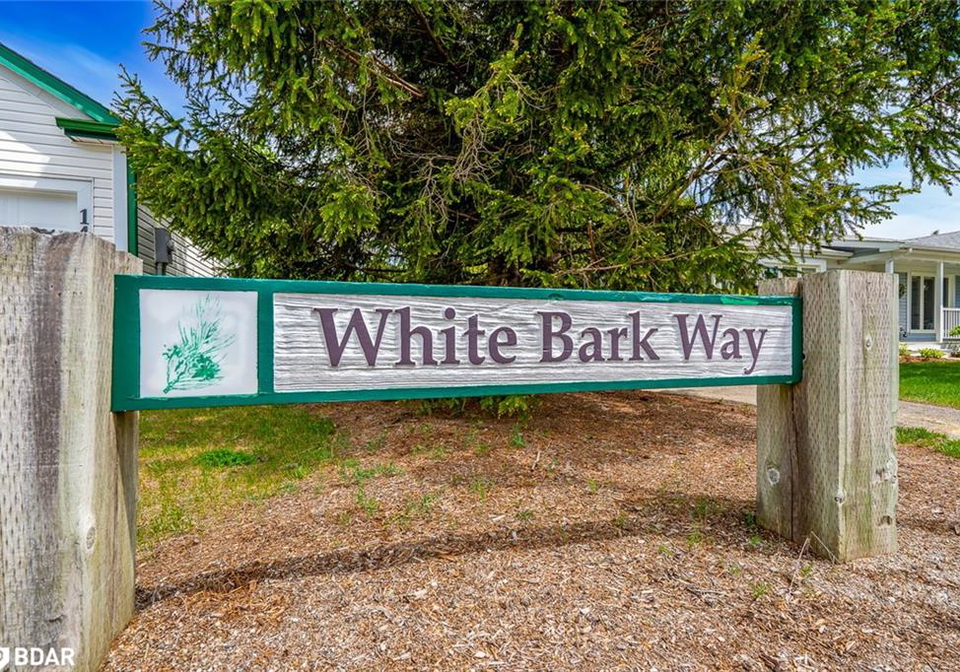 32-white-bark-way-belwood-ontario-40740652