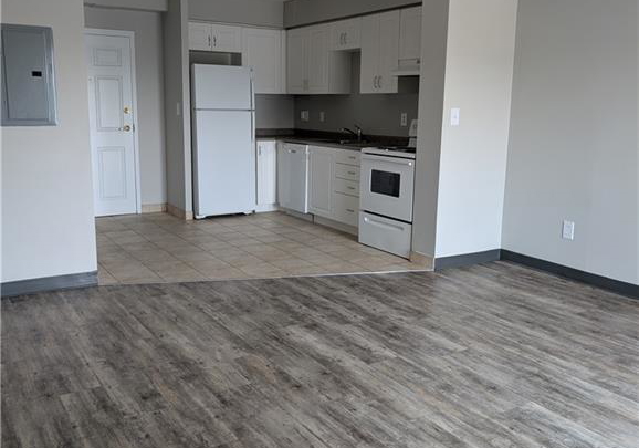 736-old-albert-street-waterloo-ontario-40741947