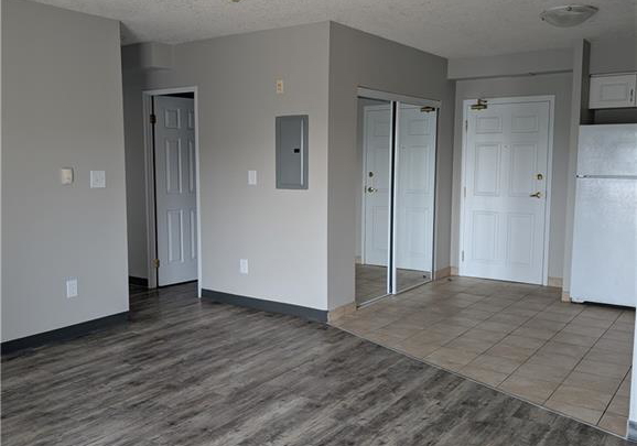 736-old-albert-street-waterloo-ontario-40741947