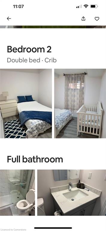1365-yellow-rose-circle-oakville-ontario-40742394