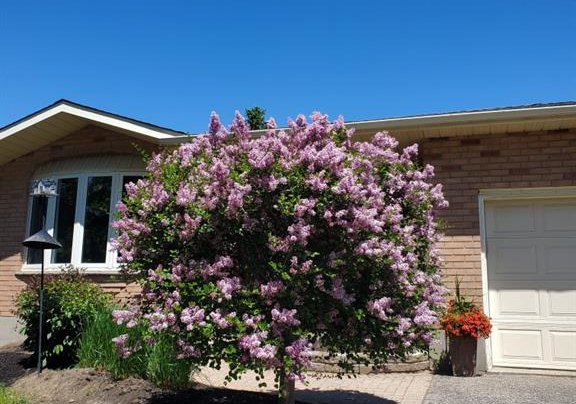 612-sprucehurst-crescent-waterloo-ontario-40748750