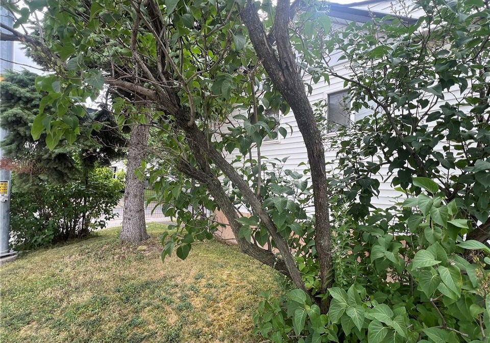 100-eastchester-avenue-st-catharines-ontario-40750353