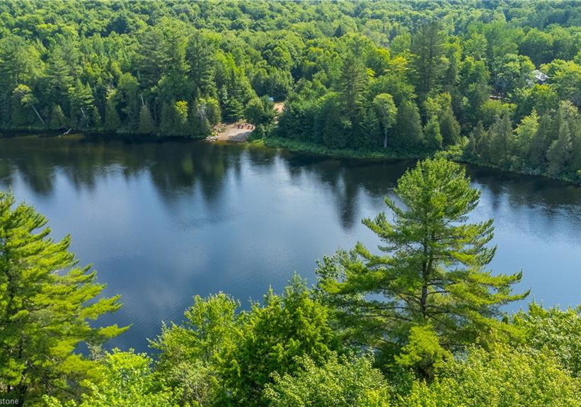 1083-fairy-falls-road-baysville-ontario-40750802