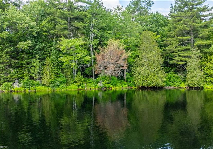 1083-fairy-falls-road-baysville-ontario-40750802