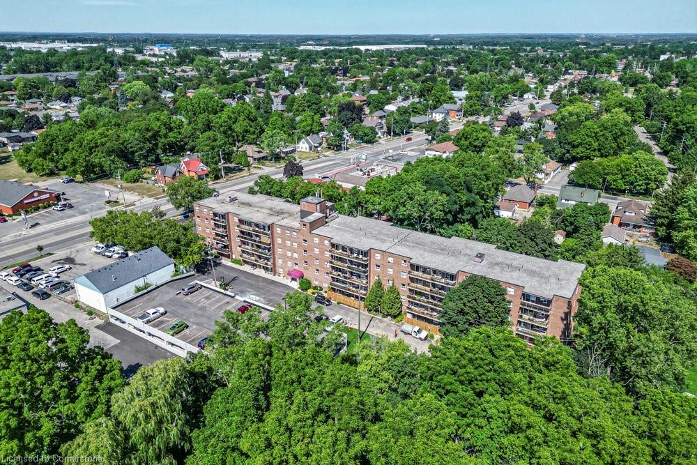 793-colborne-street-brantford-ontario-40754501