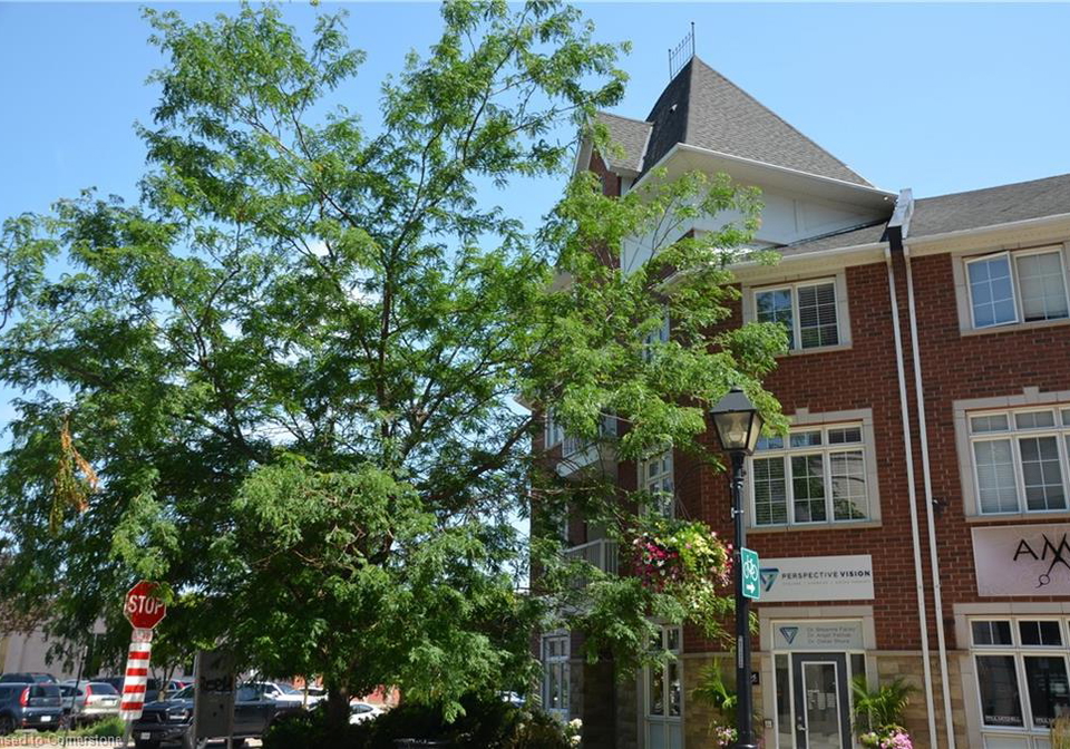 406-almas-common-burlington-ontario-40757706