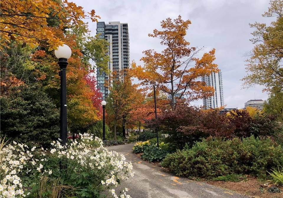 60-charles-street-w-kitchener-ontario-40758392
