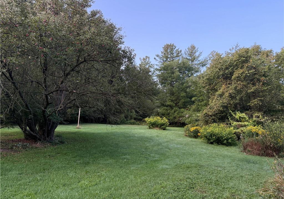 585-wilmot-line-st-agatha-ontario-40766448
