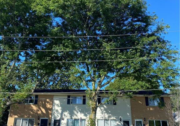 14-chalmers-street-s-cambridge-ontario-40767072