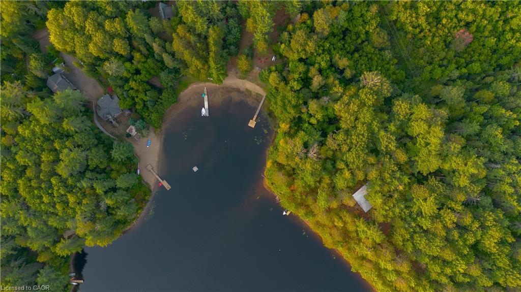 1301-dombroskie-road-madawaska-ontario-40771433