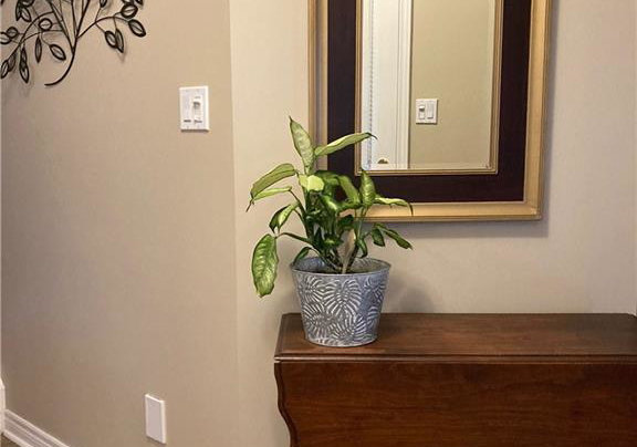 100-beddoe-drive-hamilton-ontario-40772299