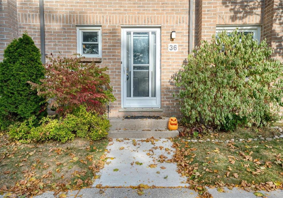 1294-byron-baseline-road-london-ontario-40773737