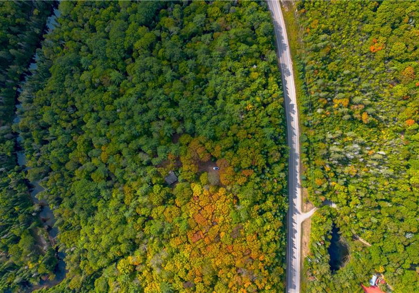 10282-county-road-503-glamorgan-ontario-40774645