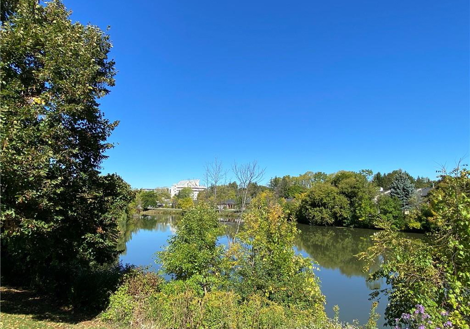 1-monsignor-henkey-terrace-hamilton-ontario-40775071