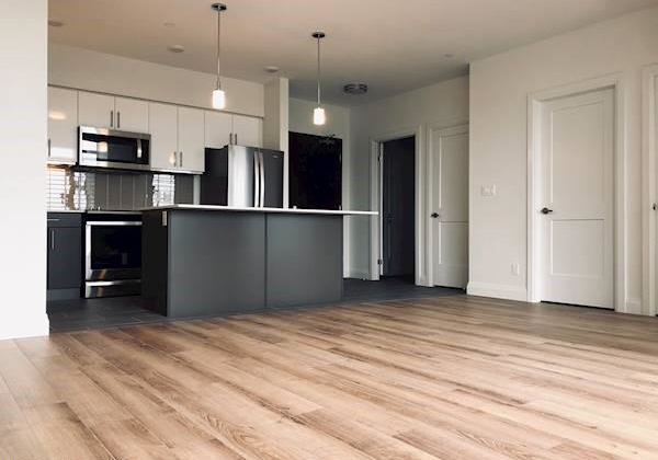 399-queen-street-kitchener-ontario-40775682
