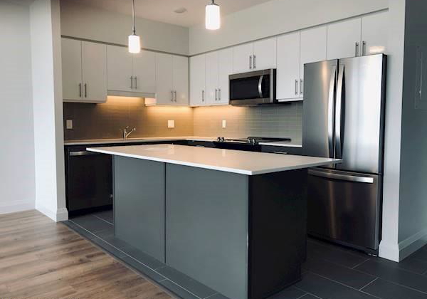 399-queen-street-kitchener-ontario-40775682