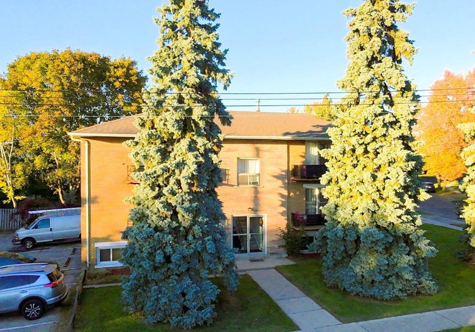 164-donald-street-kitchener-ontario-40779133