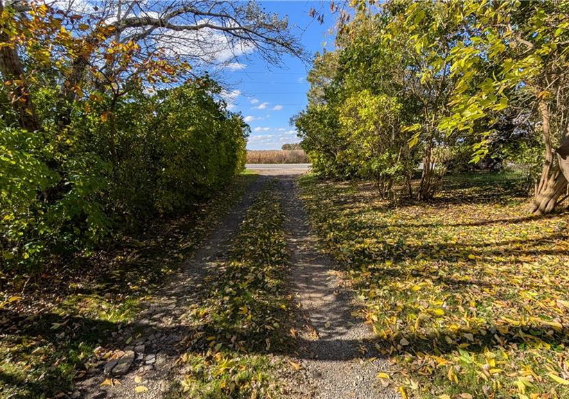172-tyneside-road-caledonia-ontario-40782498