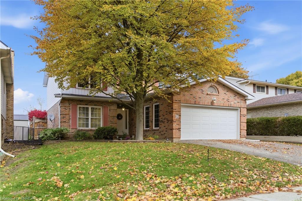 36-black-locust-way-brantford-ontario-40785460