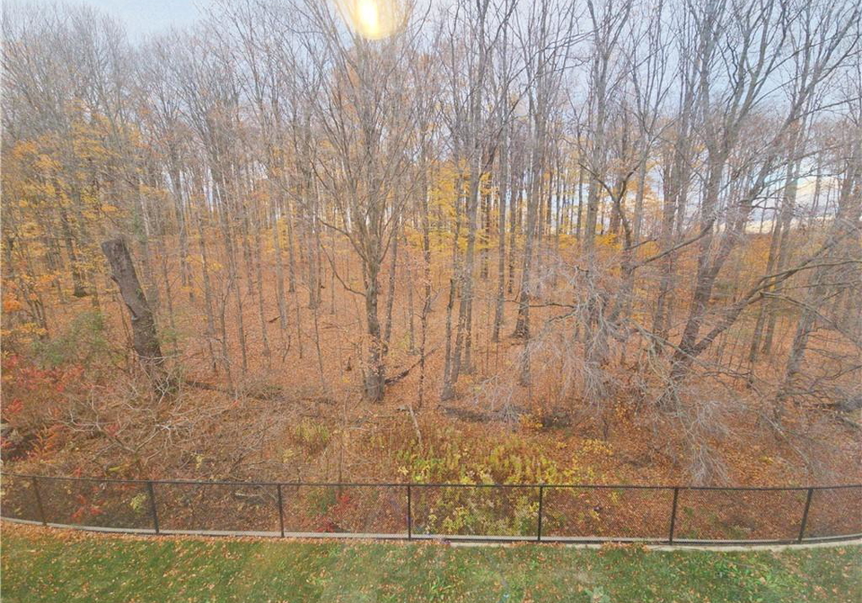 117-nathalie-street-kitchener-ontario-40789158