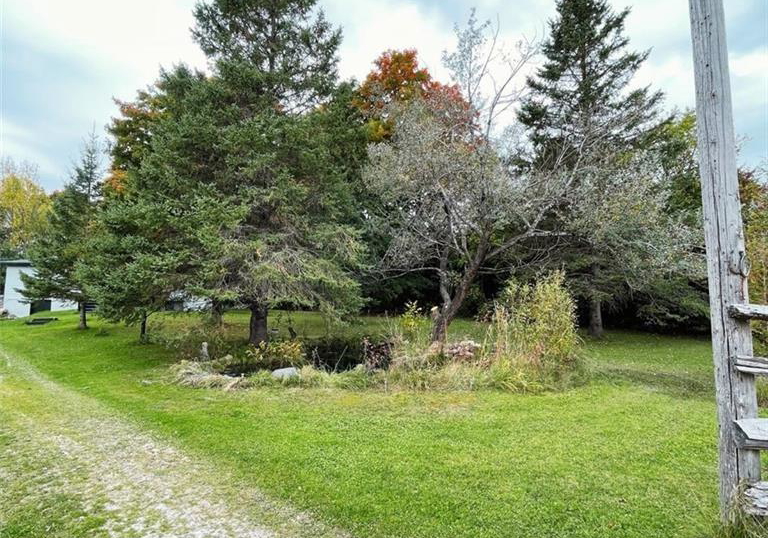 813016-east-back-line-grey-highlands-ontario-40789483