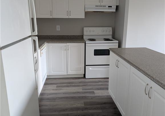 736-old-albert-street-waterloo-ontario-40792007