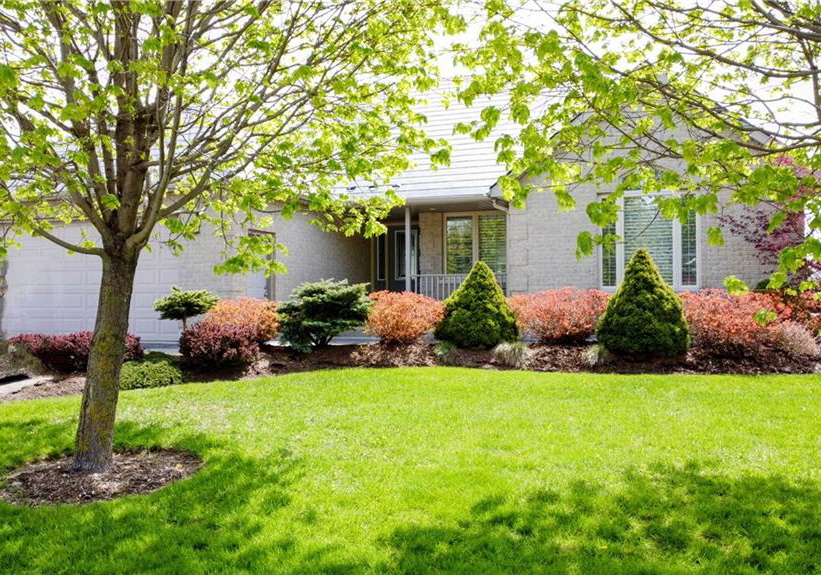 540-old-81-street-palmerston-ontario-40792299