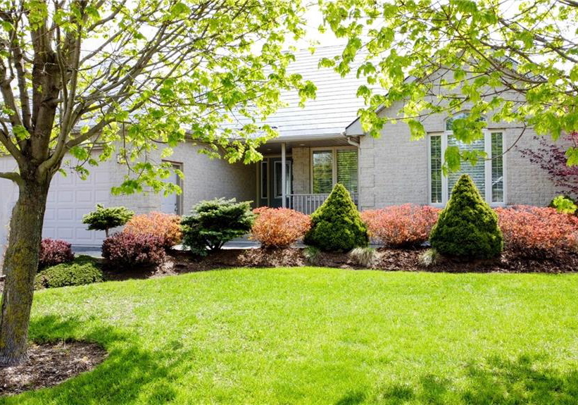 540-old-81-street-palmerston-ontario-40792299
