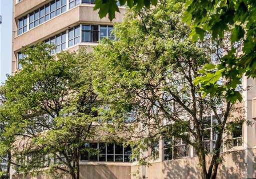 66-bay-street-s-hamilton-ontario-40793176