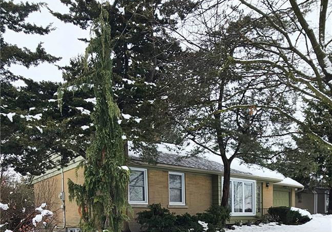 379-st-leger-street-kitchener-ontario-40796165