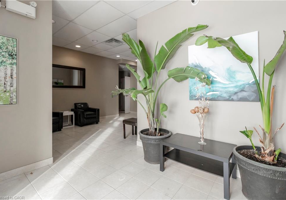 36-regina-street-n-waterloo-ontario-40800616