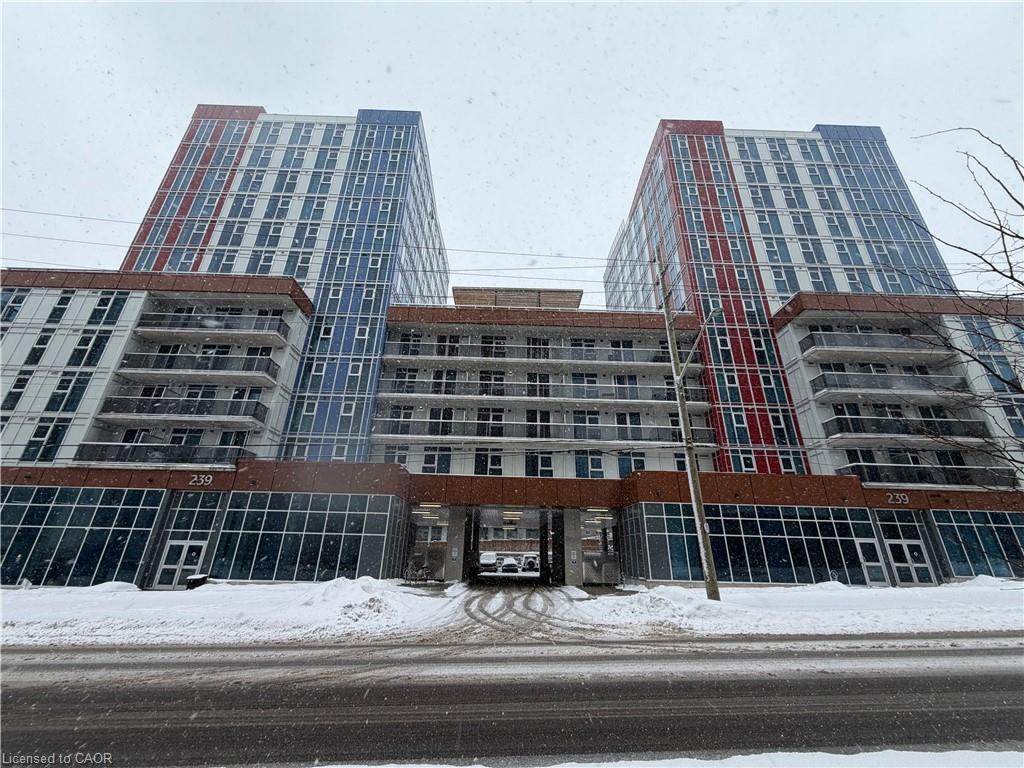 239-albert-street-waterloo-ontario-40800796