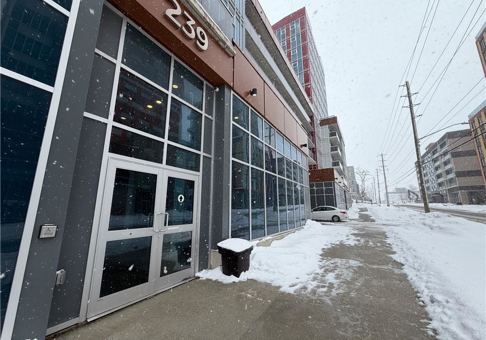 239-albert-street-waterloo-ontario-40800796