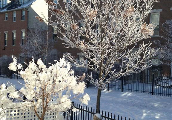 17-grosvenor-lane-cambridge-ontario-40802121