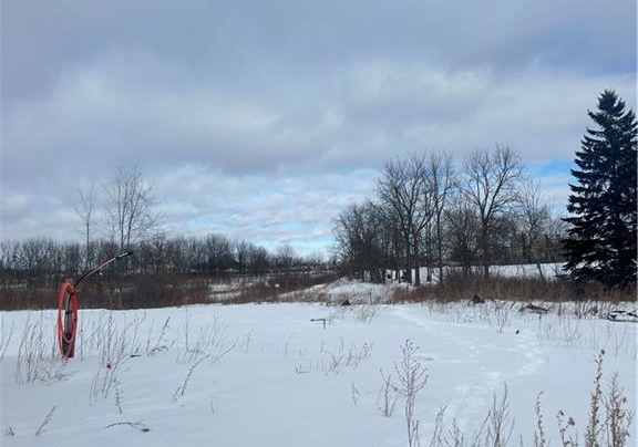 311-shady-oaks-trail-lot-24-hamilton-ontario-40803749