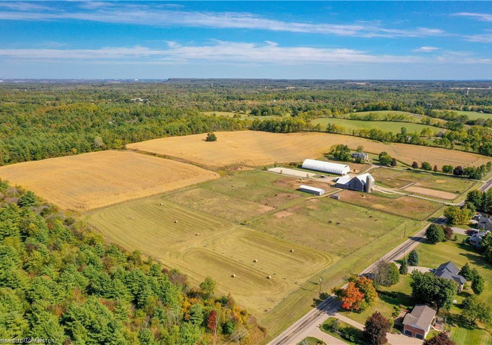 1748-centre-road-flamborough-ontario-40803909