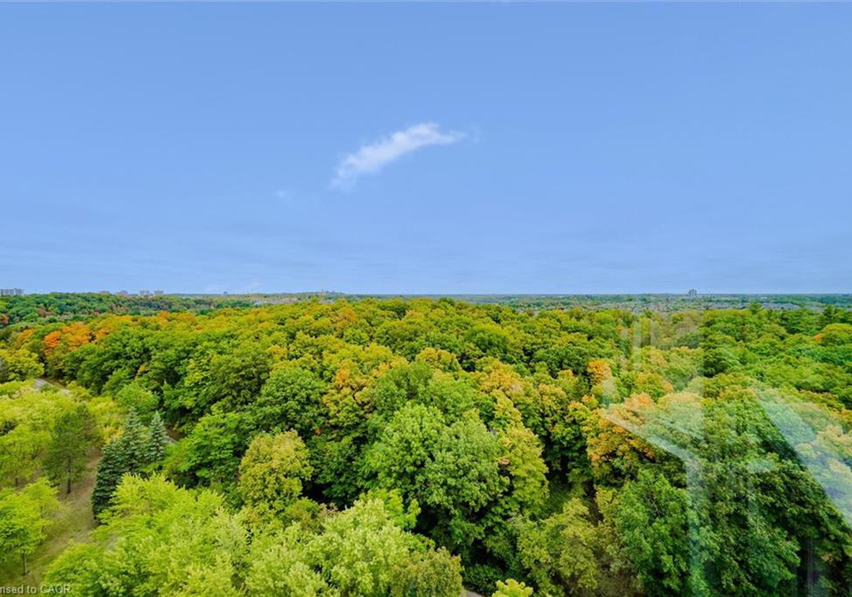 55-green-valley-drive-kitchener-ontario-40805683