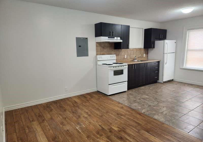 101-wellington-street-brantford-ontario-40806045