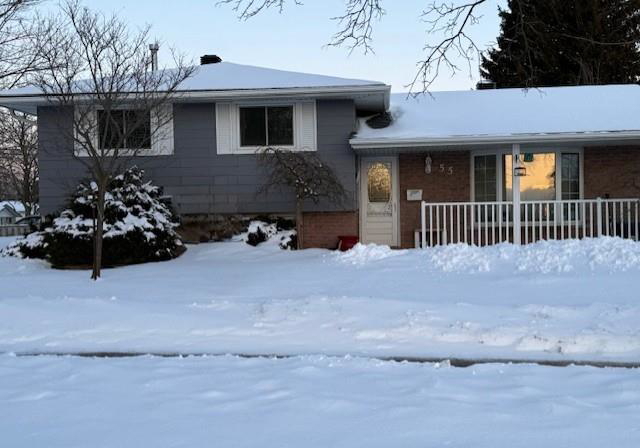 55-gracefield-crescent-kitchener-ontario-40806956