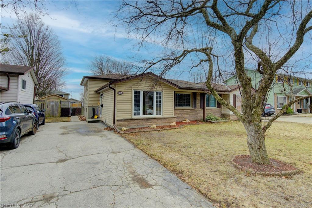 187-traynor-avenue-kitchener-ontario-40808070
