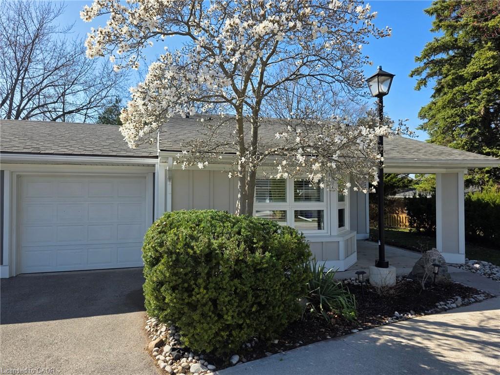 16-sister-varga-terrace-hamilton-ontario-40812551