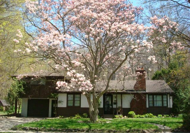 135-glenforest-road-cambridge-ontario-40813893